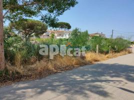 , 833.00 m², Calle sorra