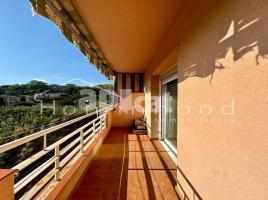 Pis, 92.00 m², Calle AV. PAU CLARIS