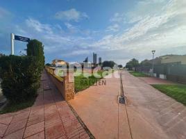 , 800.00 m², Calle Dels Olivars