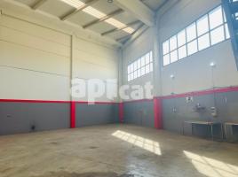 Industrial, 637.00 m², Santa Oliva