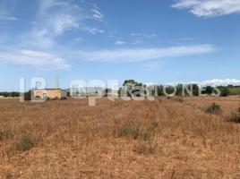 , 358.00 m², Manacor Centro