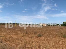 , 358.00 m², Manacor Centro