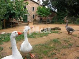 Louer  (casa rural), 425.00 m², près de bus et de train