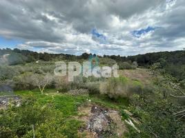 , 13000.00 m², Calle Poligono 5
