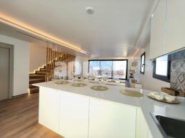 Casa (unifamiliar aislada), 392.00 m², seminuevo, Calle de Maria Aurèlia Capmany