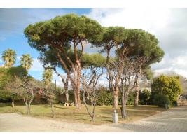 Unifamiliar aïllada, 696.00 m²