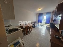 Estudi, 30.00 m², Calle Sector Delta Muga