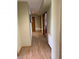Pis, 381.00 m²